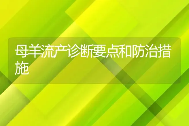 母羊流产诊断要点和防治措施 | 家畜养殖