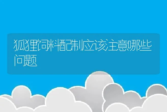 狐狸饲料配制应该注意哪些问题 | 特种养殖