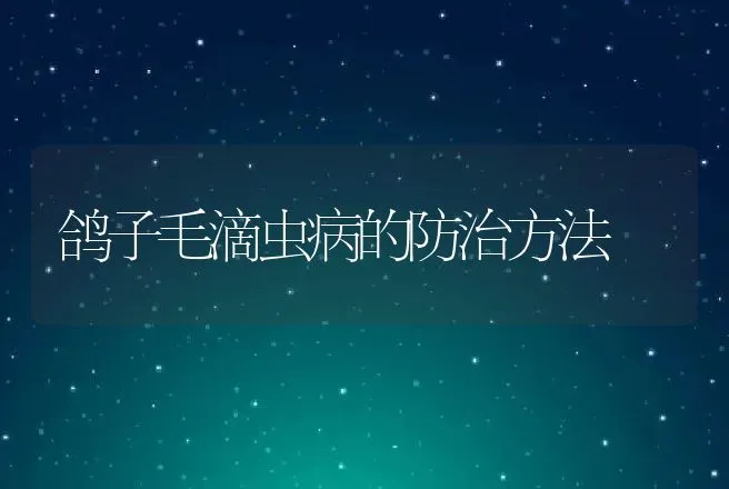 鸽子毛滴虫病的防治方法 | 动物养殖