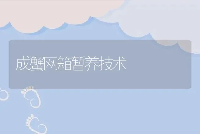 成蟹网箱暂养技术 | 动物养殖