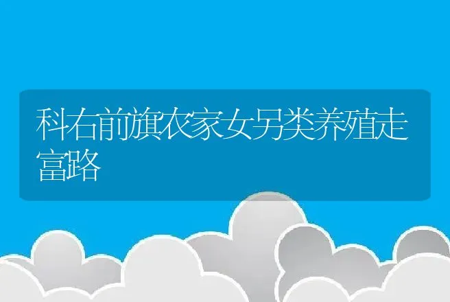 科右前旗农家女另类养殖走富路 | 养殖致富