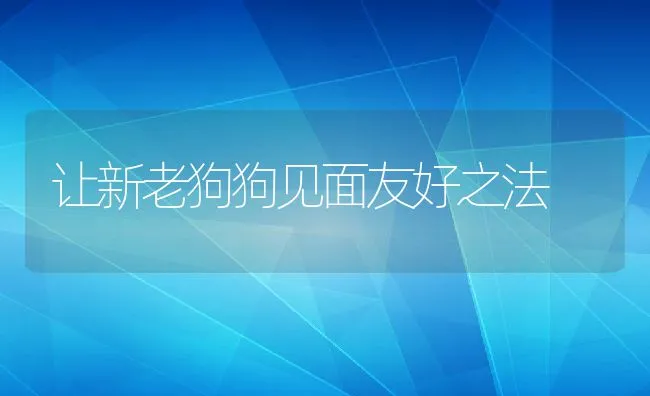 让新老狗狗见面友好之法 | 宠物病虫害