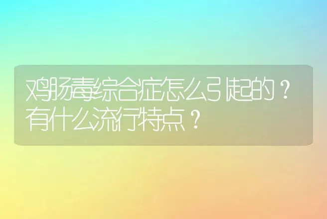 鸡肠毒综合症怎么引起的？有什么流行特点？ | 兽医知识大全