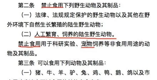 深圳将成为大陆首个立法禁食宠物猫狗城市:5月1日正式实施! | 宠物政策法规