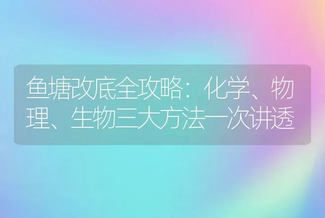 鱼塘改底全攻略：化学、物理、生物三大方法一次讲透 | 水产知识