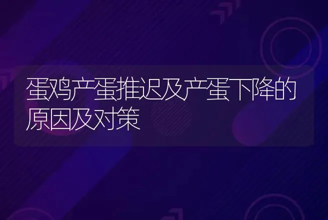 蛋鸡产蛋推迟及产蛋下降的原因及对策 | 动物养殖