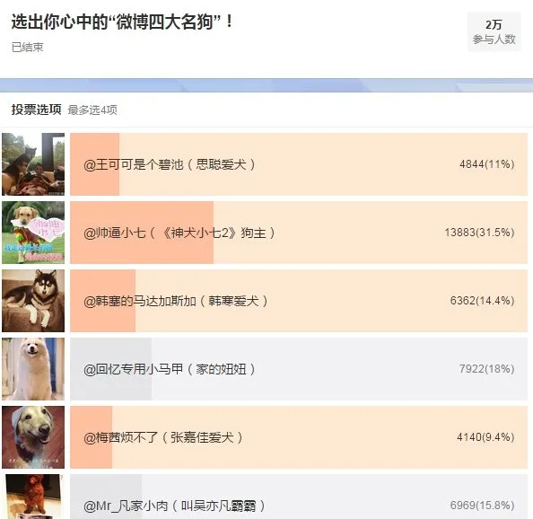 《神犬小七2》当选微博四大名狗之首 | 宠物新闻资讯