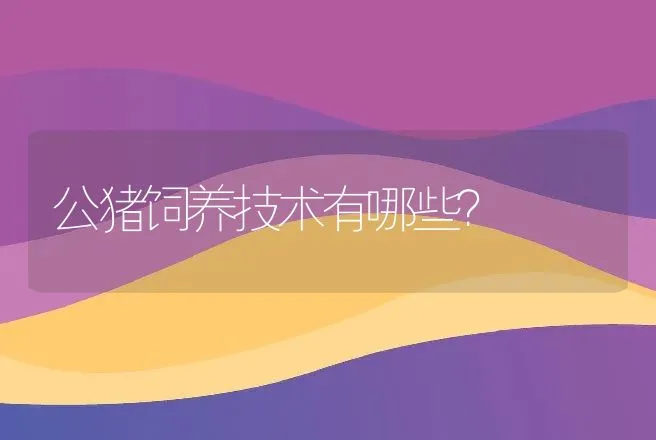 公猪饲养技术有哪些？ | 动物养殖