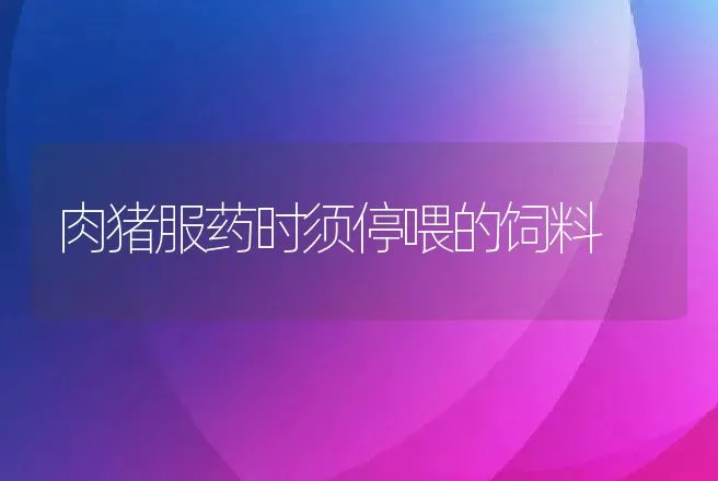 肉猪服药时须停喂的饲料 | 动物养殖