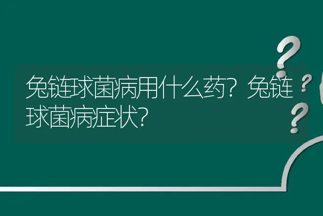 兔链球菌病用什么药？兔链球菌病症状？ | 兽医知识大全