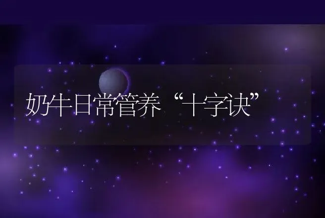 奶牛日常管养“十字诀” | 动物养殖