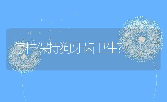 怎样保持狗牙齿卫生? | 宠物病虫害