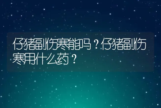 仔猪副伤寒能吗？仔猪副伤寒用什么药？ | 兽医知识大全