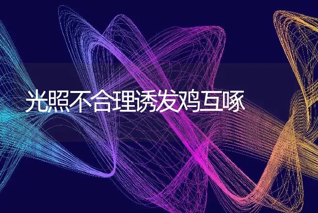 光照不合理诱发鸡互啄 | 动物养殖