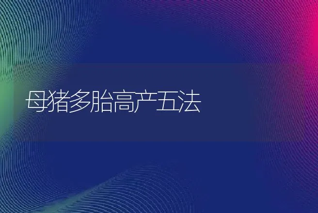 母猪多胎高产五法 | 动物养殖