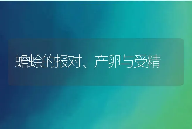 蟾蜍的报对、产卵与受精 | 动物养殖