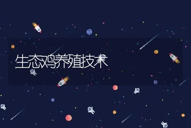 生态鸡养殖技术 | 动物养殖