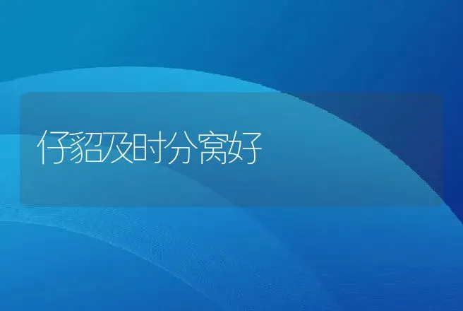 如何提高鸵鸟种蛋的孵化率 | 动物养殖