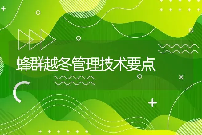 蜂群越冬管理技术要点 | 动物养殖