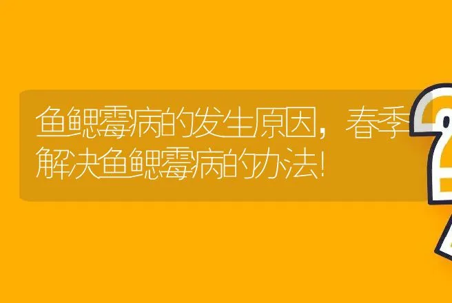 鱼鳃霉病的发生原因，春季解决鱼鳃霉病的办法！ | 兽医知识大全