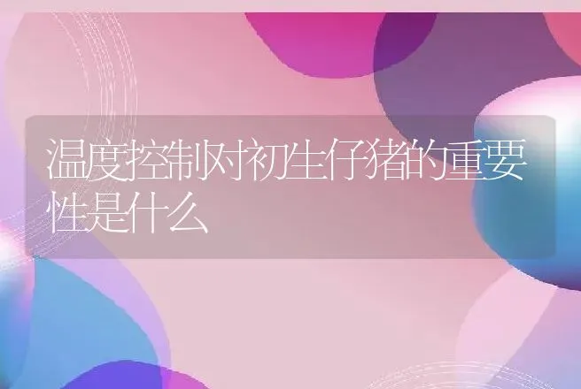 温度控制对初生仔猪的重要性是什么 | 动物养殖