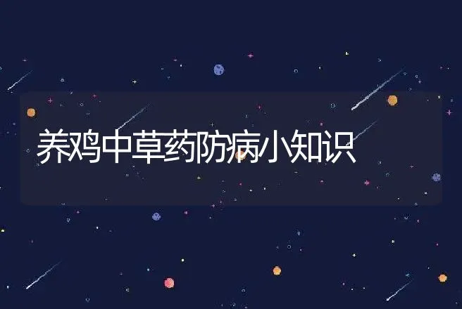 养鸡中草药防病小知识 | 动物养殖