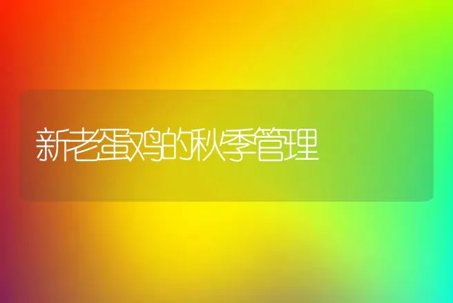 新老蛋鸡的秋季管理 | 动物养殖