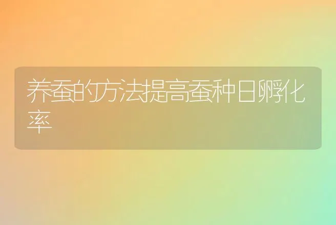 养蚕的方法提高蚕种日孵化率 | 动物养殖