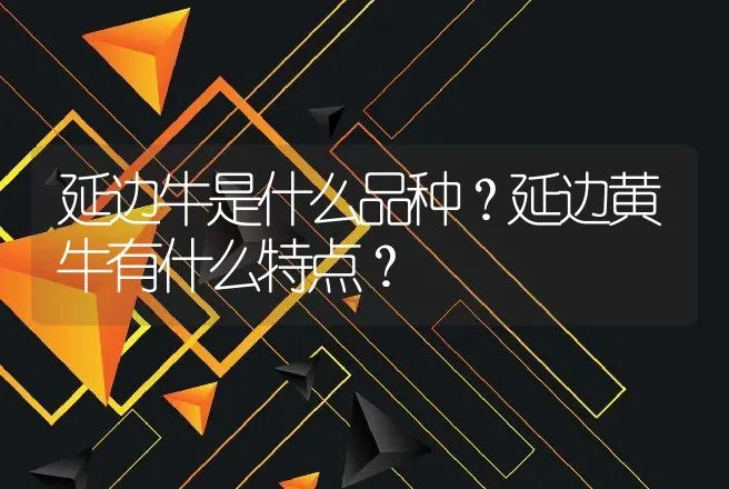 延边牛是什么品种？延边黄牛有什么特点？ | 动物养殖