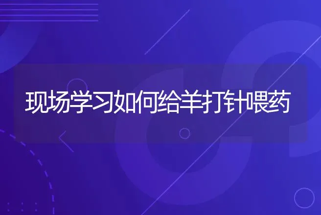 汉普夏猪常见疾病有哪些？如何防治？ | 兽医知识大全