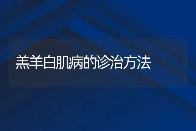 羔羊白肌病的诊治方法 | 动物养殖