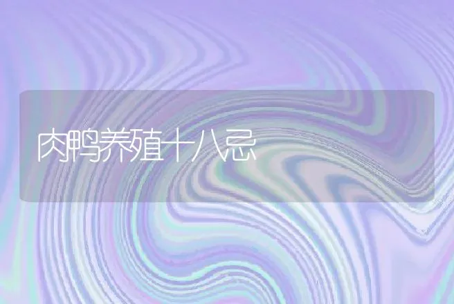 肉鸭养殖十八忌 | 家禽养殖