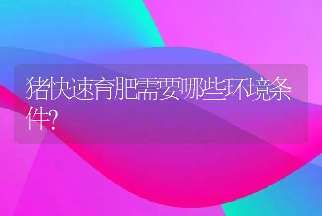 猪快速育肥需要哪些环境条件？ | 动物养殖