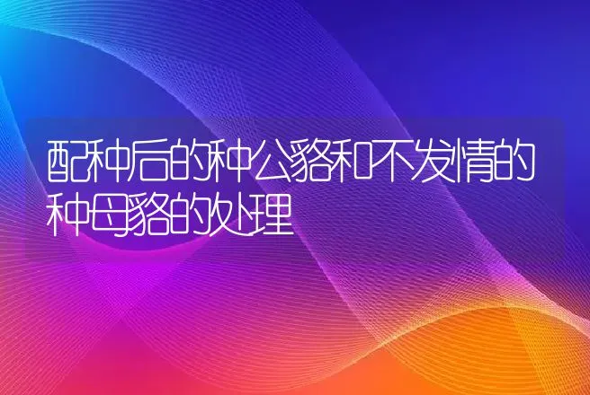 配种后的种公貉和不发情的种母貉的处理 | 动物养殖