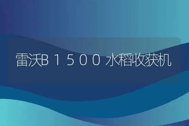 雷沃B1500水稻收获机 | 养殖