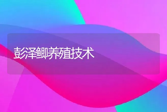 彭泽鲫养殖技术 | 动物养殖