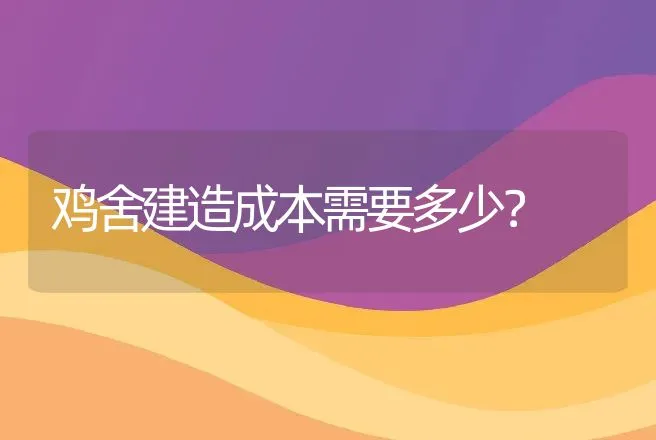 养鸭大棚怎么建造好?建10000只的鸭棚多少钱?一亩大棚能养多少只鸭子? | 家禽养殖