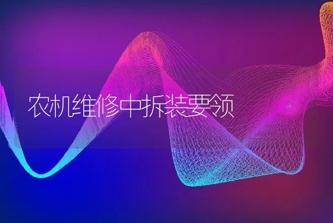 农机维修中拆装要领 | 养殖