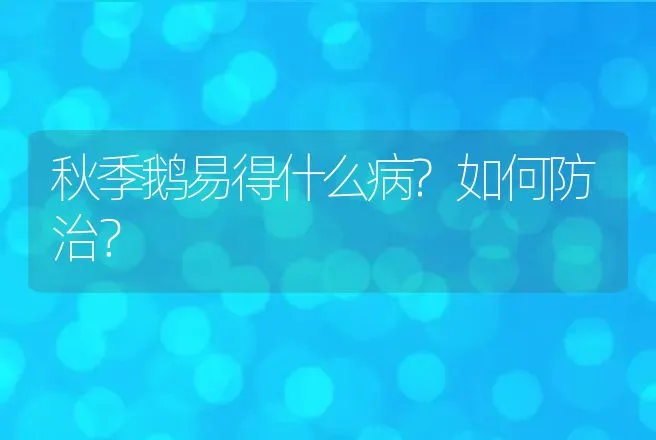 秋季鹅易得什么病?如何防治？ | 兽医知识大全