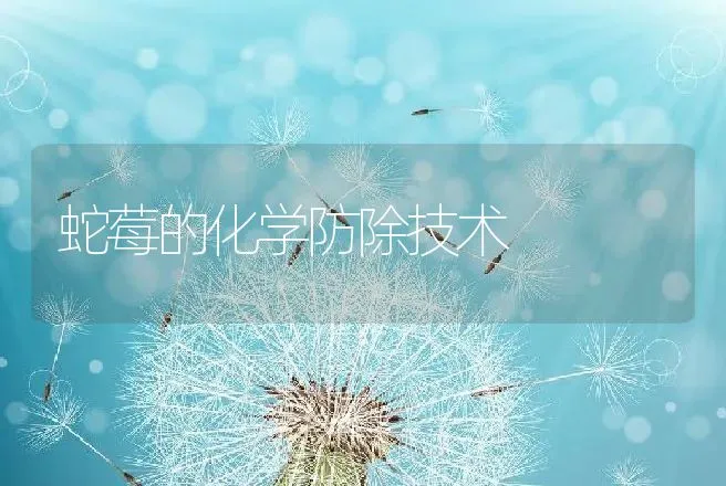 蛇莓的化学防除技术 | 动物养殖