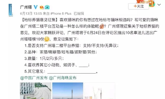 广州塔想模仿故宫靠养猫蹭流量，这事儿行得通吗！ | 宠物新闻资讯