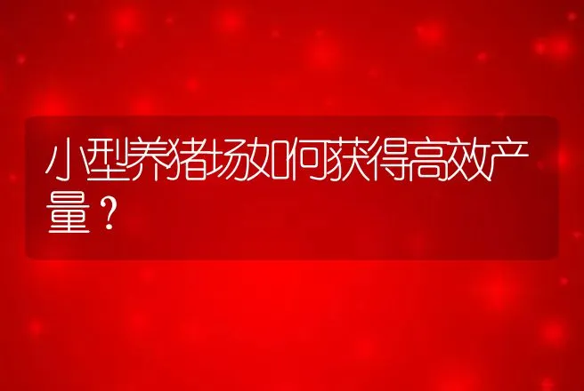 小型养猪场如何获得高效产量？ | 家畜养殖