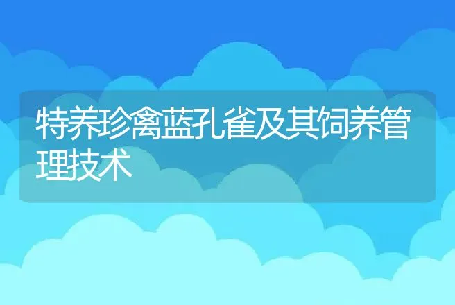 特养珍禽蓝孔雀及其饲养管理技术 | 特种养殖