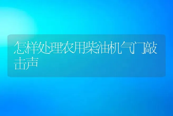 怎样处理农用柴油机气门敲击声 | 养殖