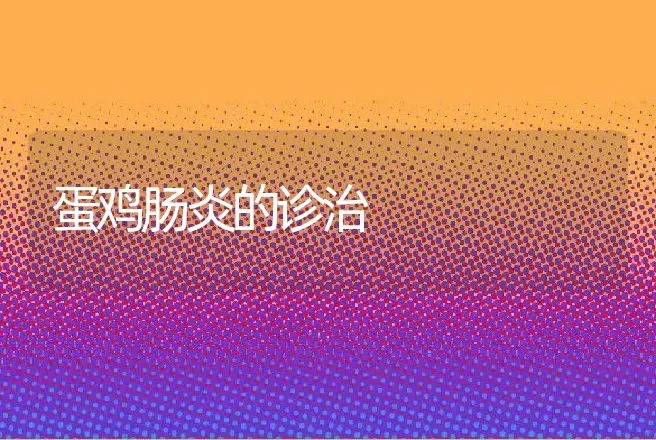 蛋鸡肠炎的诊治 | 动物养殖