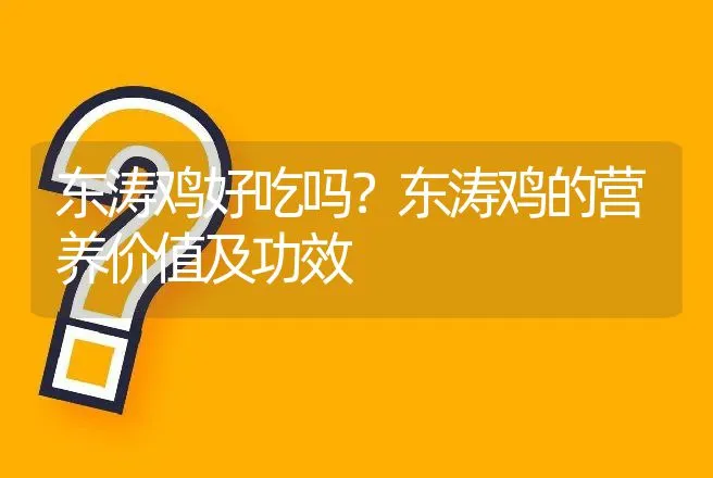 东涛鸡好吃吗？东涛鸡的营养价值及功效 | 动物养殖