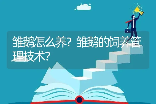 雏鹅怎么养？雏鹅的饲养管理技术？ | 家禽养殖