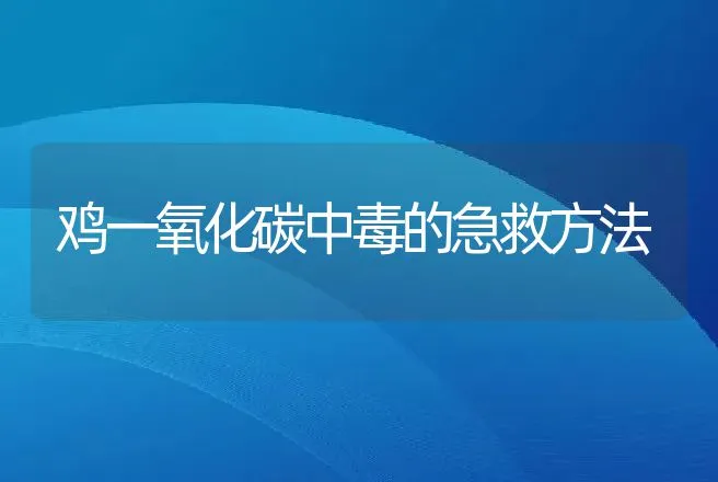 鸡一氧化碳中毒的急救方法 | 兽医知识大全