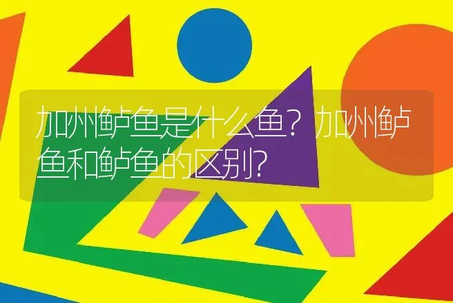 加州鲈鱼是什么鱼？加州鲈鱼和鲈鱼的区别? | 动物养殖