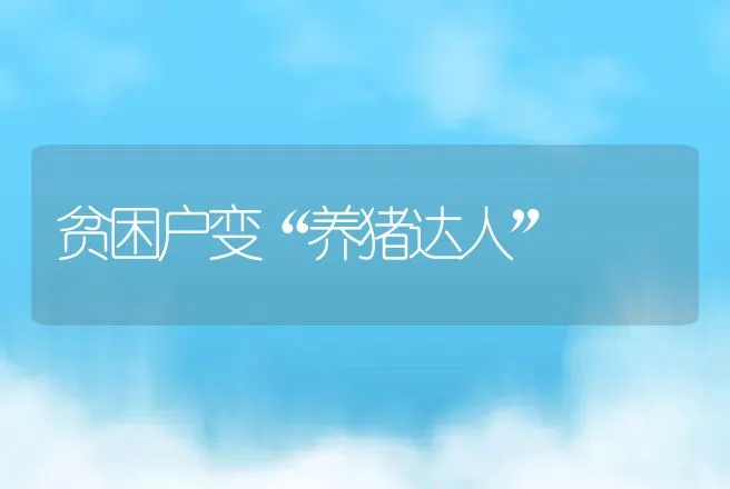 贫困户变“养猪达人” | 养殖致富